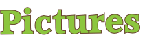 Pictures